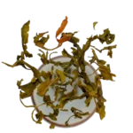 zelený čaj s magnólií, který padá do šálku. Kvalitní zelený čaj z Dobré Čajovny.