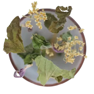 Zahradní Bylinky, padající do hrnku. Tato směs byla ručně natrhána.