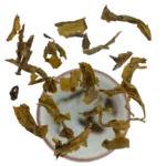 Zhu-Cha neboli Gunpowder, tradiční zelený čaj, povzbuzující čaj plný antioxidantů