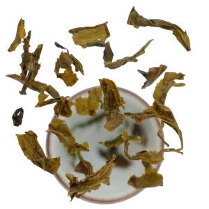 Zhu-Cha neboli Gunpowder, tradiční zelený čaj, povzbuzující čaj plný antioxidantů