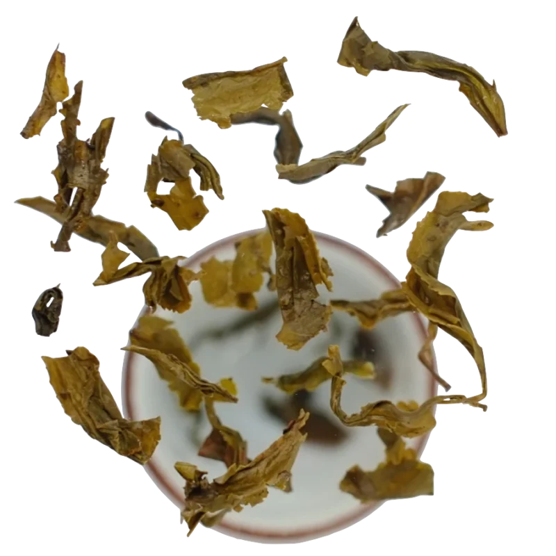 Zhu-Cha neboli Gunpowder, tradiční zelený čaj, povzbuzující čaj plný antioxidantů