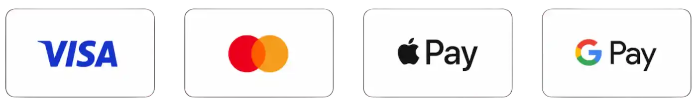 možnosti platby (visa, mastercard, apple pay, google pay)